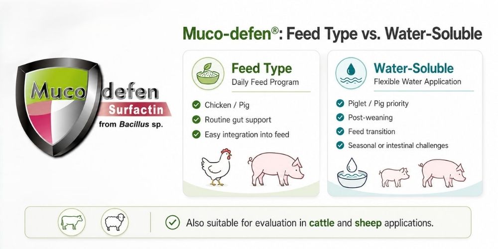 Muco-defen® Water-Soluble Type
