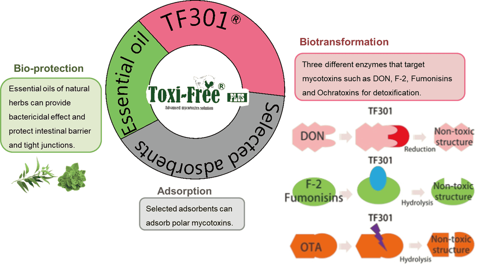 Toxi-Free PLUS®