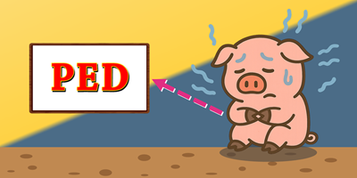 Combatting PEDV- How to Reduce Mortality and Protect Your Herd