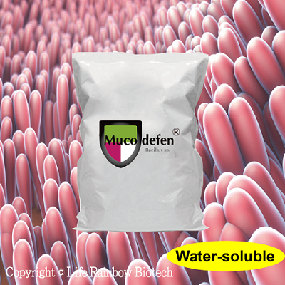 Muco-defen® (water-soluble)