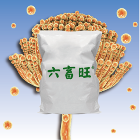 六畜旺