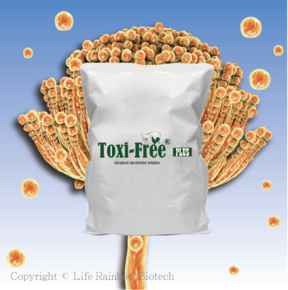 Toxi-Free® PLUS