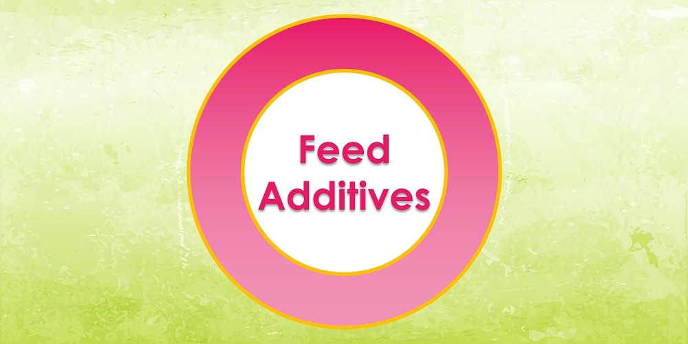 What Are Feed Additives and How Do They Benefit Livestock What Are Feed Additives and How Do They Benefit Livestock